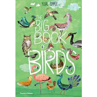 The Big Book of Birds