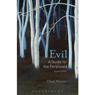 Evil: A Guide for the Perplexed