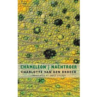 Chameleon | Nachtroer