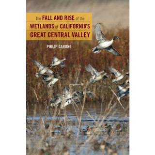 The Fall and Rise of the Wetlands of California's Great Central Valley