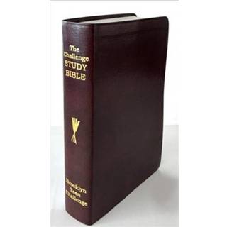 CEV Challenge Study Bible-Flexi Cover