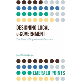 Designing Local e-Government