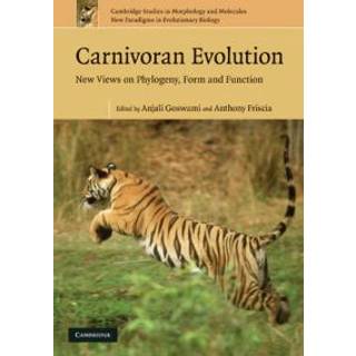 Carnivoran Evolution