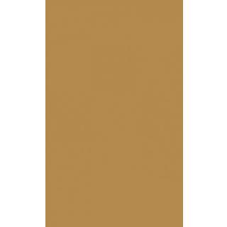 Confidentiality in Social Work