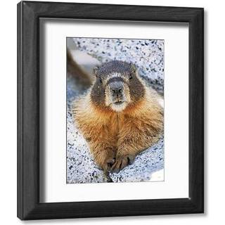 Bulwer-Lytton: Occult Personality