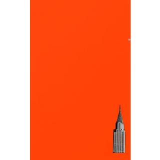 NYC Chrysler building bright orange grid style page notepad $ir Michael limited edition