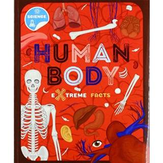 Human Body (4, 2019) | Steffi Cavell-Clarke