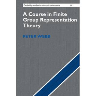 A Course in Finite Group Representation Theory