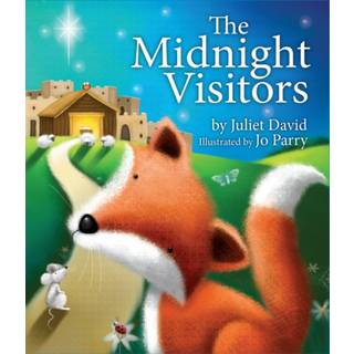 The Midnight Visitors