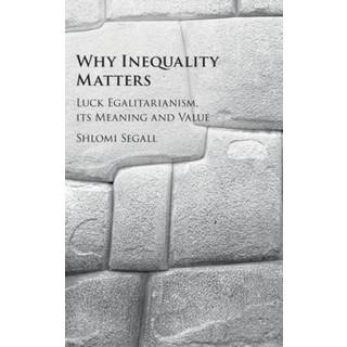 Why Inequality Matters