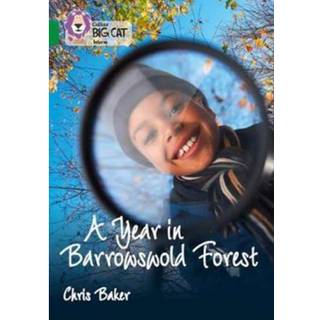 A Year in Barrowswold Forest