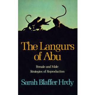 The Langurs of Abu