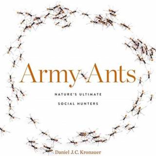 Army Ants