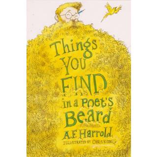 Things You Find in a Poet's Beard