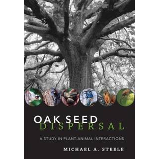 Oak Seed Dispersal