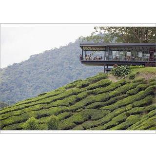 How to Identify and Overcome Handwriting Difficulties