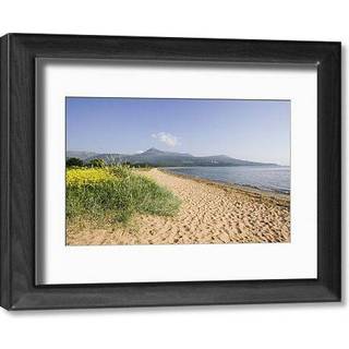 Disarming the Nuclear Argument