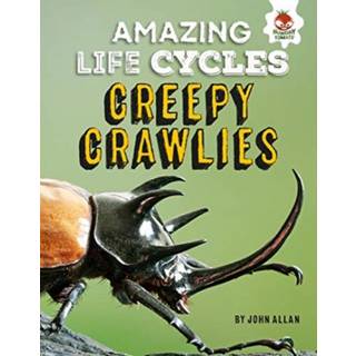 Amazing Life Cycles-Minibeasts