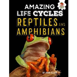 Reptiles and Amphibians - Amazing Life Cycles