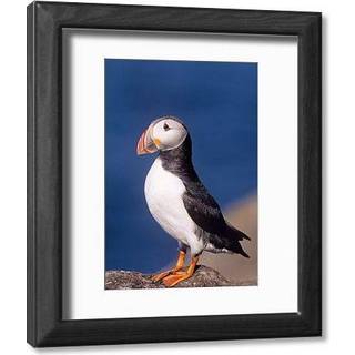 Diabetes Mellitus Manual