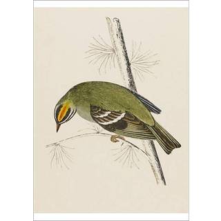 Spiritual Development In The State School