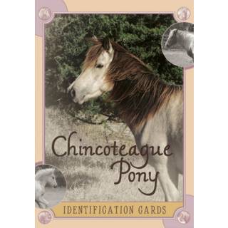 Chincoteague Pony Identification Cards