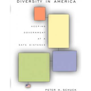 Diversity in America