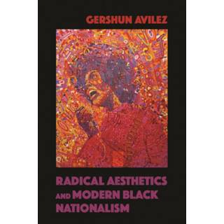 Radical Aesthetics and Modern Black Nationalism