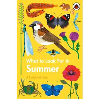 What to Look For in Summer