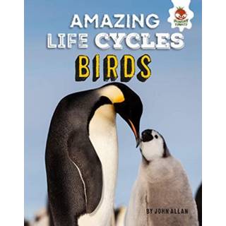 Amazing Life Cycles-Birds