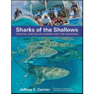 Sharks of the Shallows