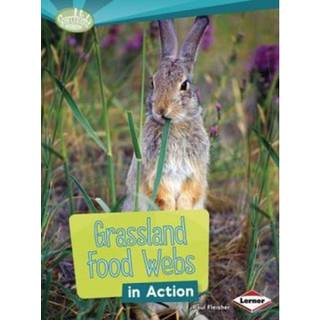 Grassland Food Webs in Action