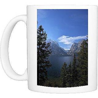 Allanbakes Really Good Cakes