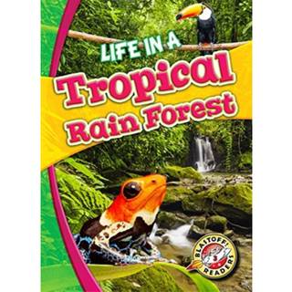 Life in a Tropical Rain Forest