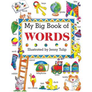My Big Book of Words