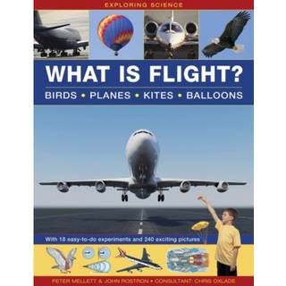 Exploring Science: What Is Flight?