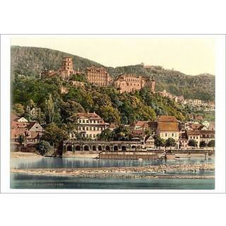 Rainforest See Where I Live!