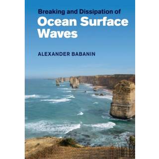 Breaking and Dissipation of Ocean Surface Waves