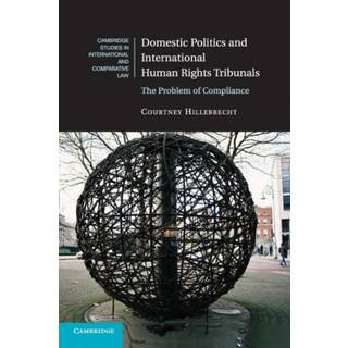 Domestic Politics and International Human Rights Tribunals