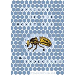 Anatomy of the Honey Bee