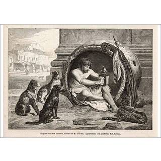 Confederate Incognito