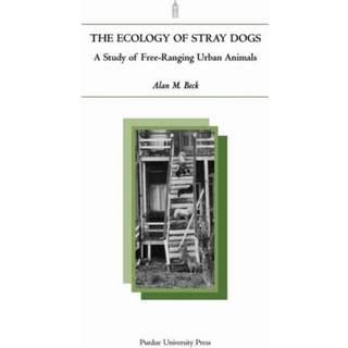 The Ecology of Stray Dogs