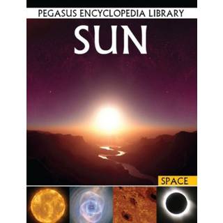 Sun (4, 2016) | pegasus