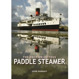 The Once-Ubiquitous Paddle Steamer