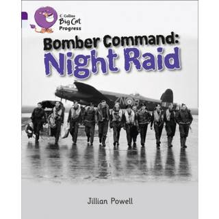 Bomber Command: Night Raid