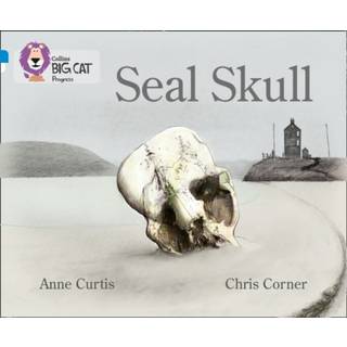 Seal Skull