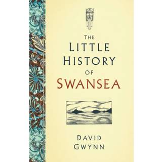 The Little History of Swansea
