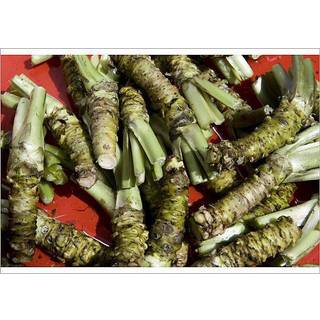 Maerdy Rhondda Valley