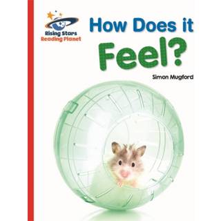 Reading Planet - How Does it Feel? - Red A: Galaxy