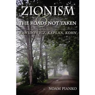 Zionism and the Roads not Taken